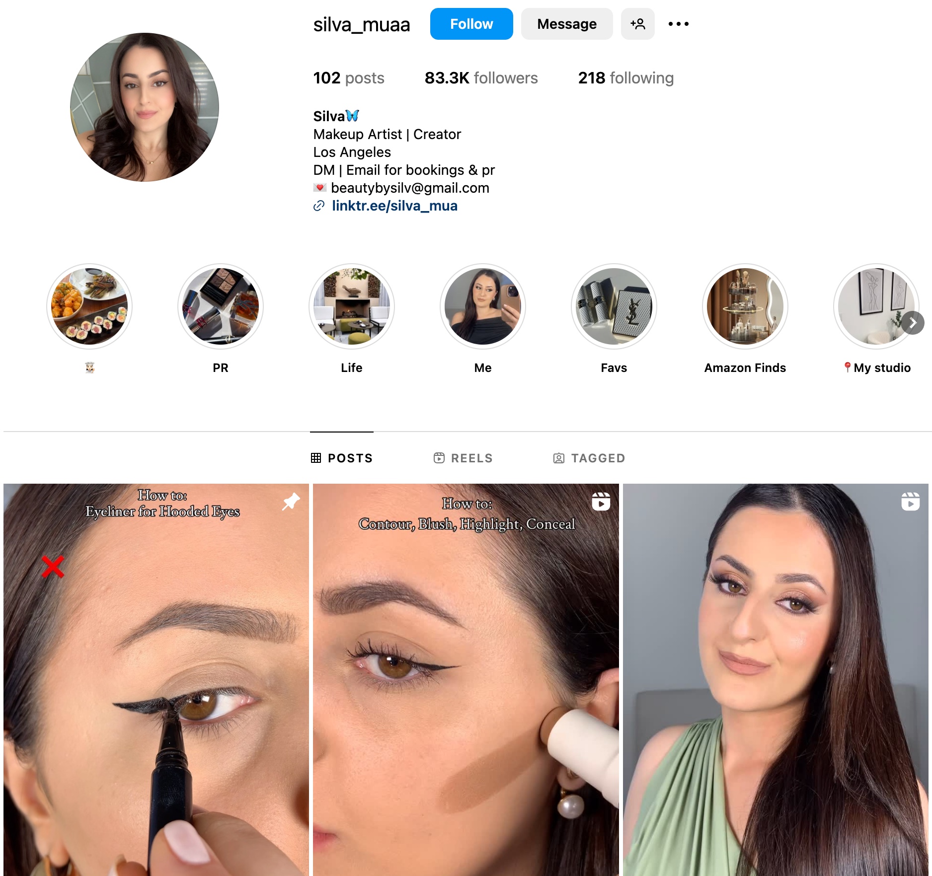 Silva Instagram Profile