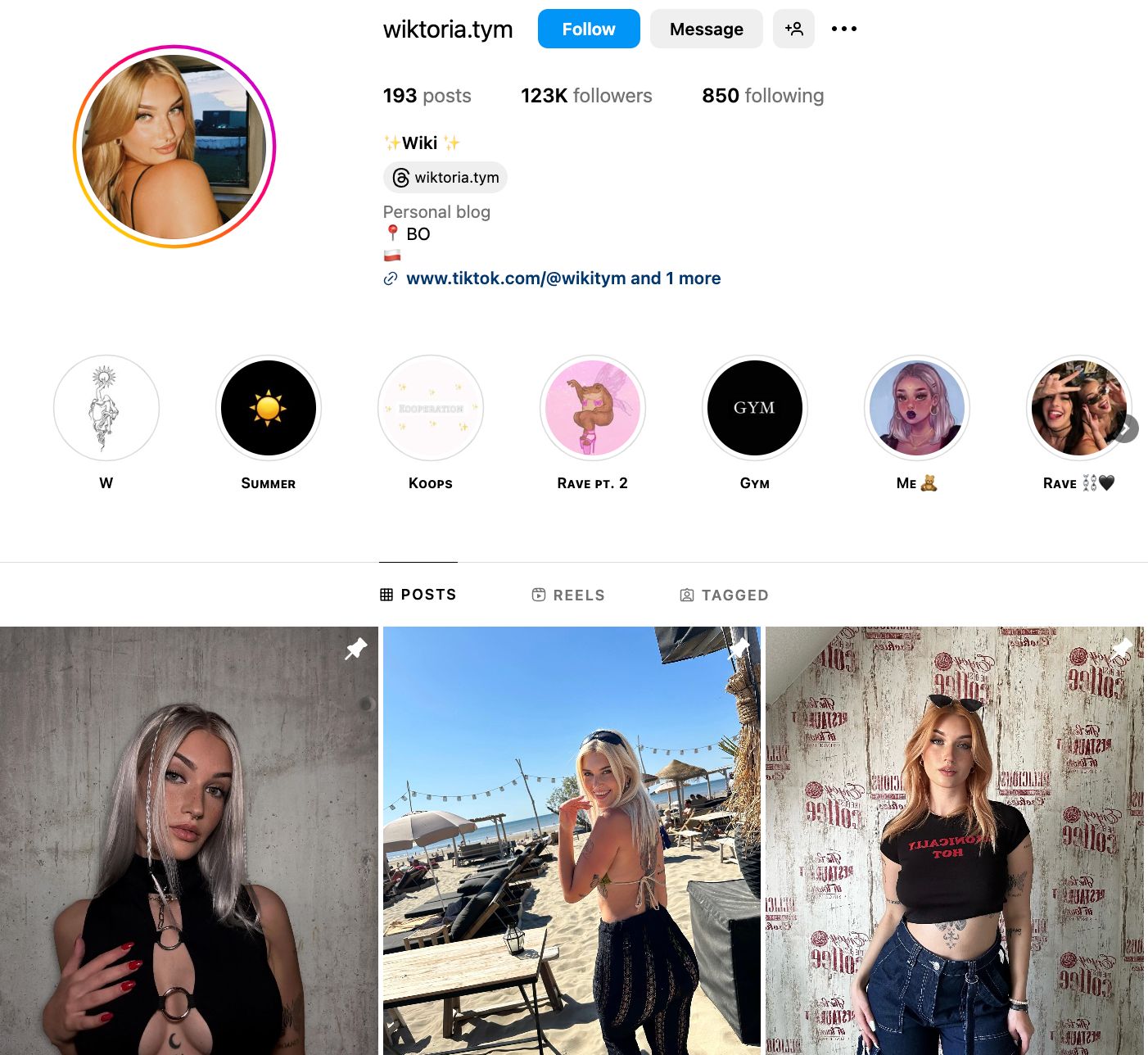 Wiki Instagram Profile